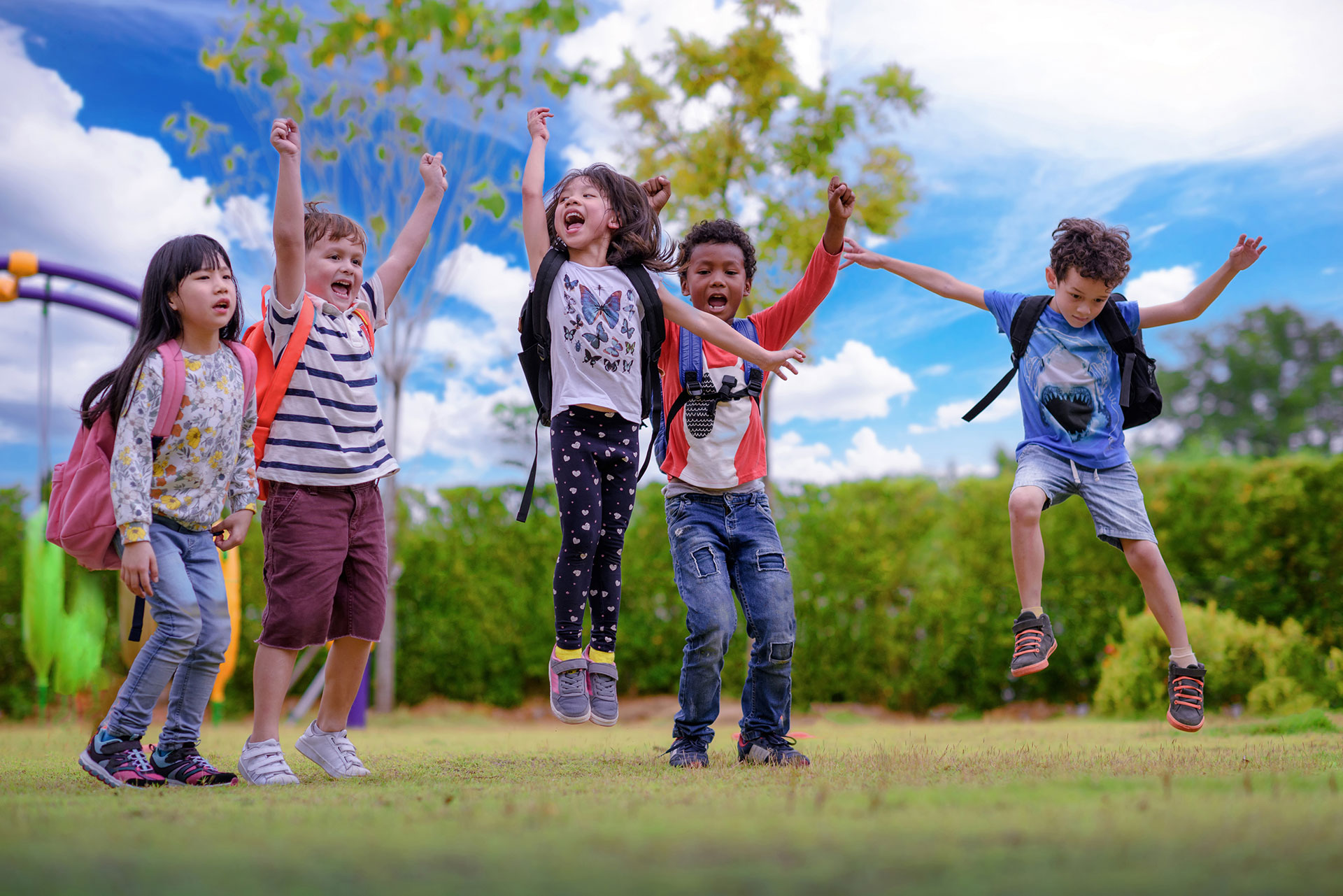 What Is Child Health Plus What Is Child Health Plus