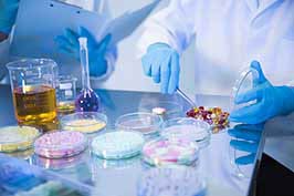 petri dish in a lab